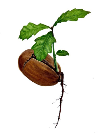Painting titled "Beginning" by Alisa Vovk, Original Artwork, Watercolor