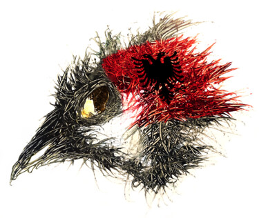 数字艺术 标题为“Pandemi bird Albani…” 由Johann Sidlo, 原创艺术品, 数字油画