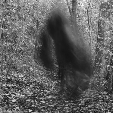 Fotografia intitolato "CE QUI SORT #3" da Antoine Franchet, Opera d'arte originale, Fotografia non manipolata