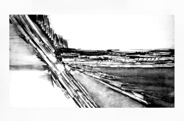 Printmaking titled "Fragmentaion 2" by Mine Palayer, Original Artwork, Monotype