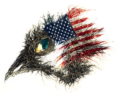 数字艺术 标题为“Pandemi bird USA” 由Johann Sidlo, 原创艺术品, 数字油画