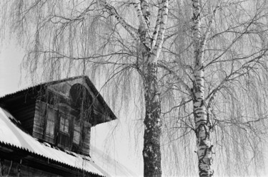 摄影 标题为“Winter slumber” 由Ekaterina Kastalskaya, 原创艺术品, 电影摄影