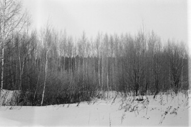 "BARCODE II" başlıklı Fotoğraf Ekaterina Kastalskaya tarafından, Orijinal sanat, Analog Fotoğrafçılık