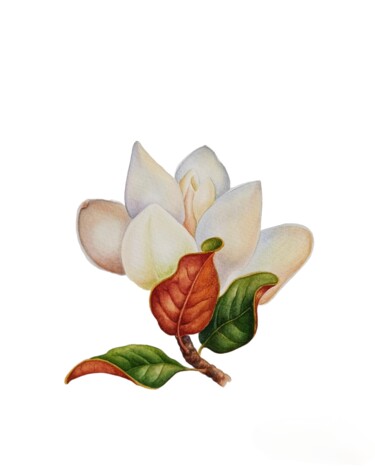 제목이 "Magical Magnolia, a…"인 미술작품 Tetiana Vlasenko로, 원작, 수채화
