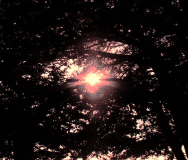 Digital Arts titled "Guiding Light 2" by Troy Wilson-Ripsom, Original Artwork, Manipulated Photography