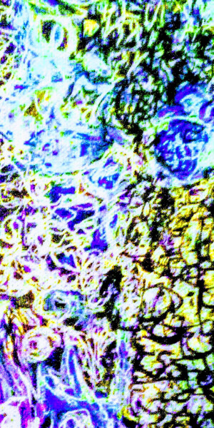 Photography titled "Expilu" by Milao Chewithllipta, Original Artwork, Digital Photography