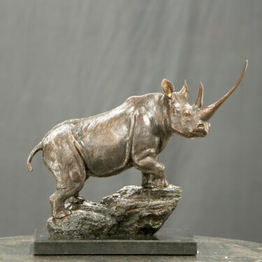Waiwai, Black Rhino Sculpture intitulée "Waiwai, Black Rhino" par Willem Botha, Œuvre d'art originale, Bronze