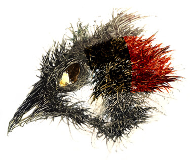 数字艺术 标题为“Pandemi Bird Aosta” 由Johann Sidlo, 原创艺术品, 数字油画