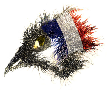 数字艺术 标题为“Pandemi Bird Frankr…” 由Johann Sidlo, 原创艺术品, 数字油画