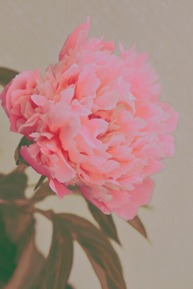 摄影 标题为“Flowerissimo_16941” 由Michael Vdovin, 原创艺术品, 数码摄影