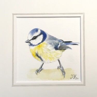 Painting titled "Mesange 24" by Isabelle Molinard, Original Artwork, Watercolor