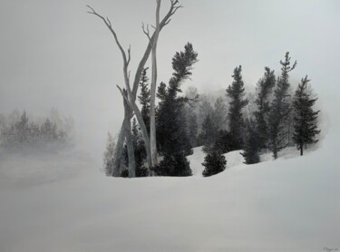 Peinture intitulée "Blizzard" par Patrick Egger, Œuvre d'art originale, Acrylique Monté sur Châssis en bois