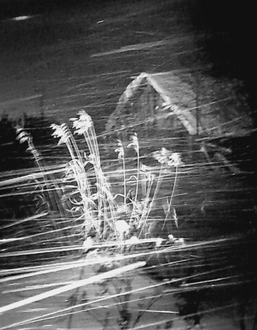 제목이 "MANSOUROV Ramil PH02"인 사진 Ramil Mansourov로, 원작, 디지털