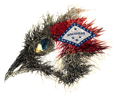 数字艺术 标题为“Pandemi Bird Arkans…” 由Johann Sidlo, 原创艺术品, 数字油画