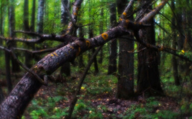 제목이 "MANSOUROV Ramil PH05"인 사진 Ramil Mansourov로, 원작, 디지털