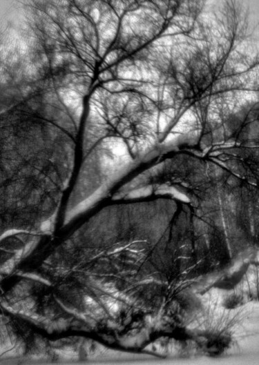 제목이 "MANSOUROV Ramil PH10"인 사진 Ramil Mansourov로, 원작, 디지털