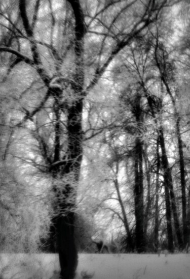 제목이 "MANSOUROV Ramil PH11"인 사진 Ramil Mansourov로, 원작, 디지털
