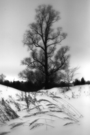 제목이 "MANSOUROV Ramil PH12"인 사진 Ramil Mansourov로, 원작, 디지털