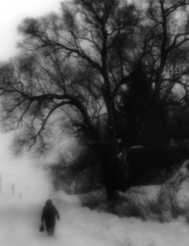제목이 "MANSOUROV Ramil PH13"인 사진 Ramil Mansourov로, 원작, 디지털