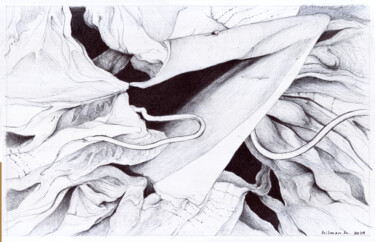 图画 标题为“Black to White #10” 由Hilman Hendarsyah, 原创艺术品, 圆珠笔
