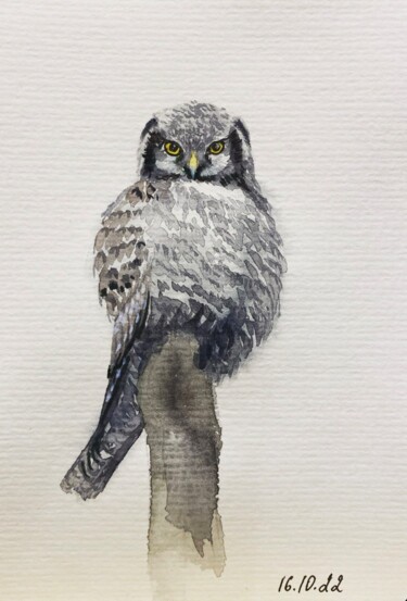 绘画 标题为“The hawk-owl” 由Margarita Gladilina, 原创艺术品, 水彩