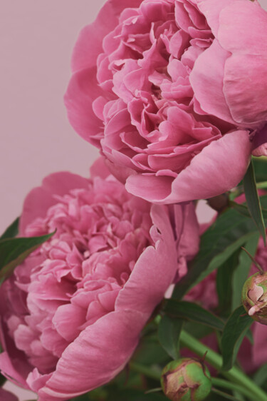 "Flowerissimo_10274" başlıklı Fotoğraf Michael Vdovin tarafından, Orijinal sanat, Dijital Fotoğrafçılık