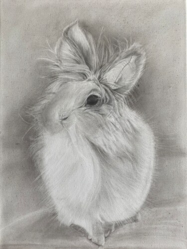 绘画 标题为“Konijn” 由Joanna Bransztetel, 原创艺术品, 铅笔 安装在artwork_cat.上