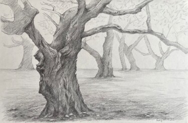 图画 标题为“Wood” 由Sofiia Kulichkova (Sonjakul), 原创艺术品, 铅笔