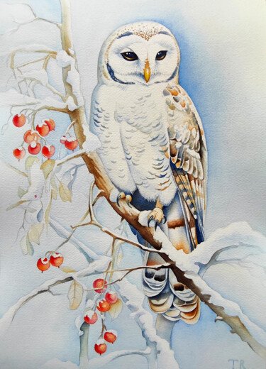 绘画 标题为“Snowy Owl” 由Tatiana Repesciuc, 原创艺术品, 水彩