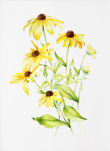 Painting titled "Rudbeckia" by Tatiana Repesciuc, Original Artwork, Watercolor