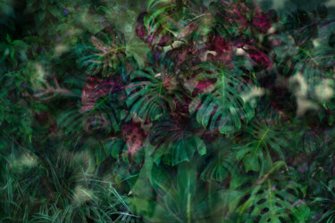 Fotografie getiteld "Pura Vida II" door Stephanie Jung, Origineel Kunstwerk, Digitale fotografie