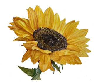 Sunny Painting titled "Sunny" by Alisa Vovk, Original Artwork, Watercolor