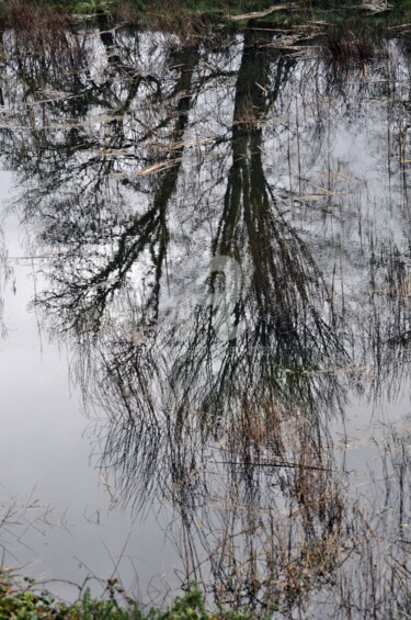 Photography titled "Reflet d'eau" by Ernest Tosetti, Original Artwork, Digital Photography