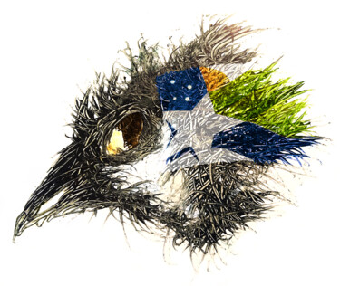 数字艺术 标题为“Pandemi Bird Coquim…” 由Johann Sidlo, 原创艺术品, 数字油画