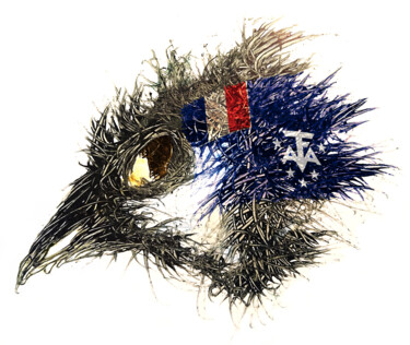 数字艺术 标题为“Pandemi Bird Fransk…” 由Johann Sidlo, 原创艺术品, 数字油画