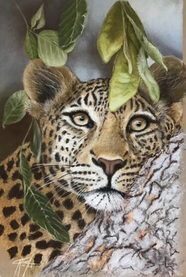 Dessin intitulée "MATIMBA" par Marie-Christine Rivel, Œuvre d'art originale, Pastel Monté sur Châssis en bois