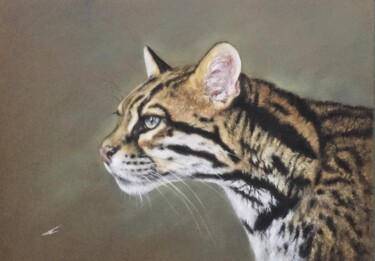 图画 标题为“Ocelot” 由Irene_art, 原创艺术品, 粉彩