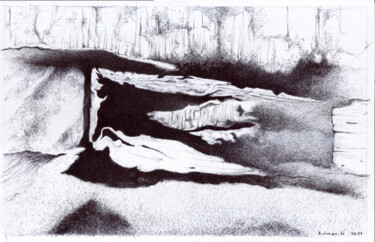 图画 标题为“Black to White #12” 由Hilman Hendarsyah, 原创艺术品, 圆珠笔