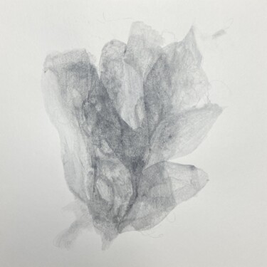 图画 标题为“Fling” 由Christine Schön, 原创艺术品, 石墨