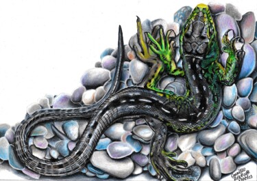 Le Petit Lézard sur les Pierres Dessin intitulée "Le Petit Lézard sur…" par Camille Zéphyr, Œuvre d'art originale, Crayon