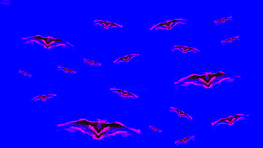摄影 标题为“Bats 11d3 [Ice Wate…” 由Ken Lerner, 原创艺术品, 数码摄影