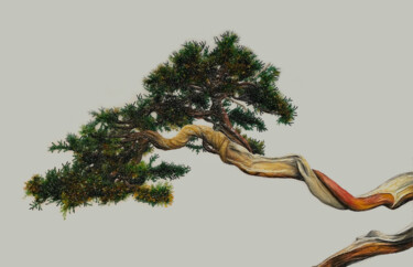 Картина маслом зеленое дерево Бонсай Oil painti tree bonsai Painting titled "Картина маслом зеле…" by Natalia Komar, Original Artwork, Oil Mounted on Wood Stretcher frame