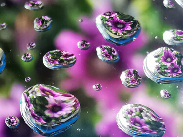 Фотография под названием "Flower power" - Ingrid Blaurock, Подлинное произведение искусства, Цифровая фотография