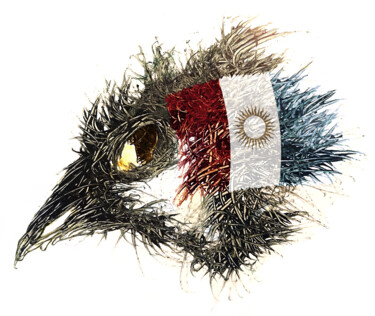 数字艺术 标题为“Pandemi Bird Córdoba” 由Johann Sidlo, 原创艺术品, 数字油画