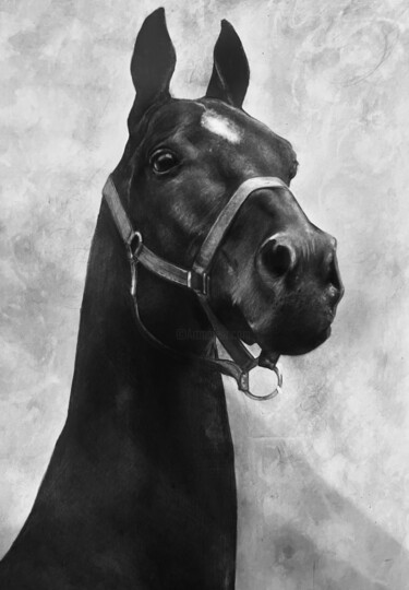 제목이 "Horse"인 미술작품 Arina Safyanova로, 원작, 흑연