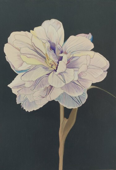 图画 标题为“Nectar n°3” 由Sandrine Borgniet, 原创艺术品, 铅笔