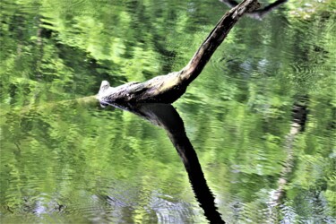 Photographie intitulée "Doublon" par Marie Marlène Mahalatchimy, Œuvre d'art originale, Photographie non manipulée