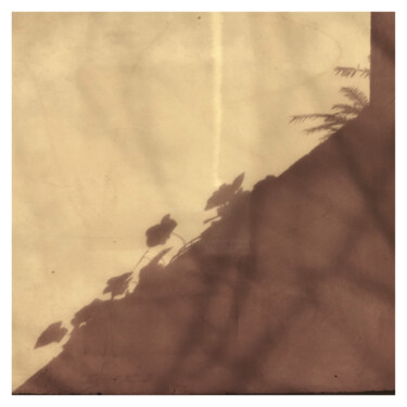 摄影 标题为“evenings make thing…” 由Zheka Khalétsky, 原创艺术品, 非操纵摄影