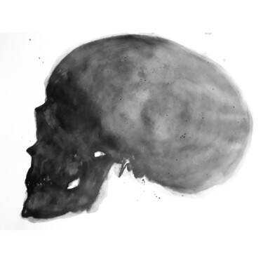 图画 标题为“Vanité” 由Lionel Boscher, 原创艺术品, 墨