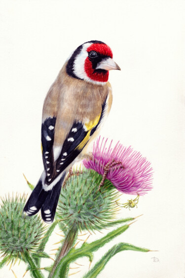 A goldfinch on a thistle blossom Painting titled "A goldfinch on a th…" by Dmitrii Kastalskii, Original Artwork, Watercolor